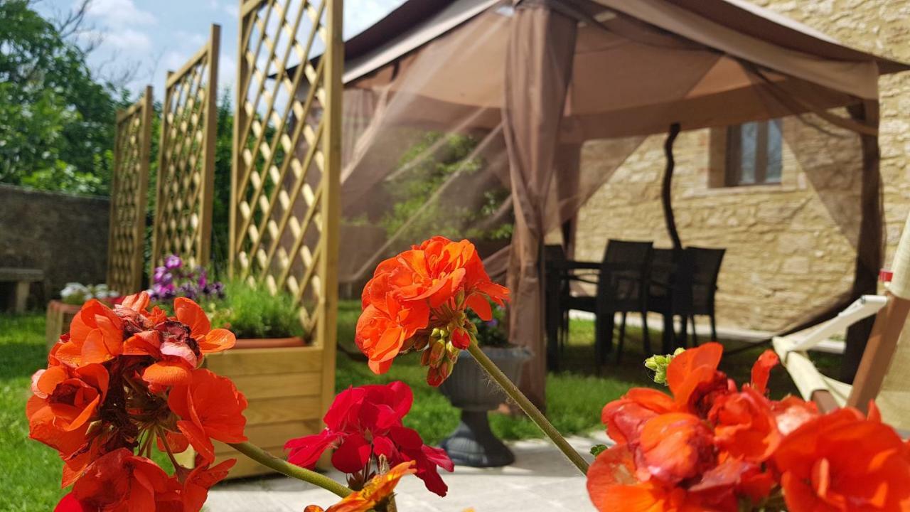 San Paterno B&B Rapolano Terme Exterior foto