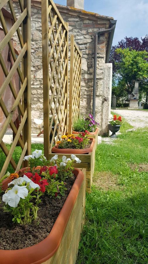 San Paterno B&B Rapolano Terme Exterior foto