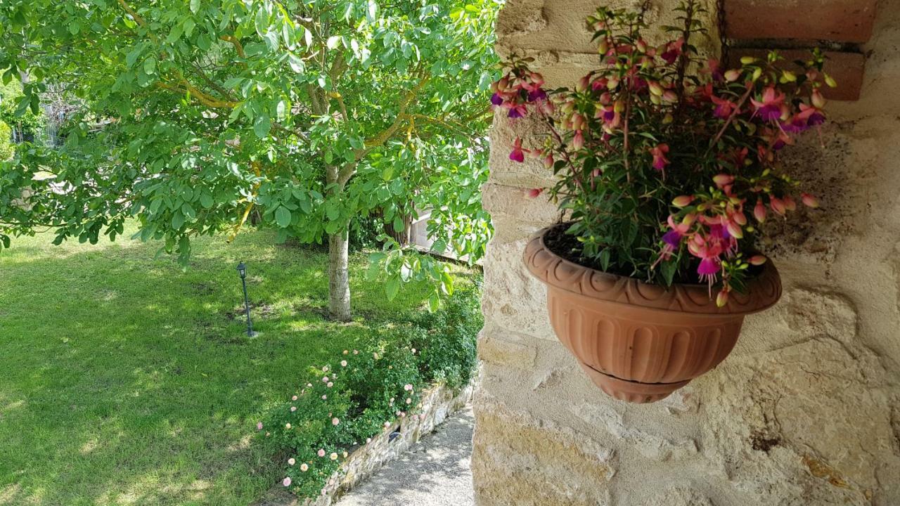 San Paterno B&B Rapolano Terme Exterior foto